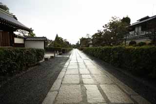 photo, la matière, libre, aménage, décrivez, photo de la réserve,Approche de Temple Myoshin-ji à un temple, chaussée de pierre, À noir, Chaitya, temple qui appartient à la secte Zen