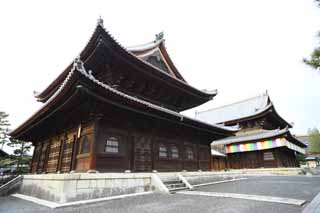 photo, la matière, libre, aménage, décrivez, photo de la réserve,Temple Myoshin-ji sanctuaire bouddhiste, Egen Kanzan, boisez fond, Le pape du jardin de la fleur, temple qui appartient à la secte Zen