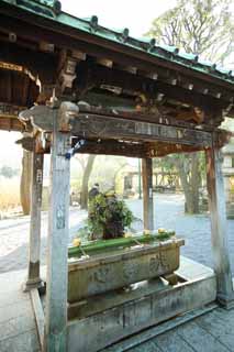 photo, la matière, libre, aménage, décrivez, photo de la réserve,Femme Shinobazunoike de temple du zen-prêtre principal, Chaitya, Sarasvati, L'évêque Amagai, petit pavillon avec l'eau et les louches