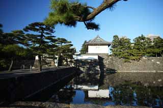 photo, la matière, libre, aménage, décrivez, photo de la réserve,Deux plis d'avirons Sakurada, Edo-jo Château, trésorerie, fossé, Ishigaki