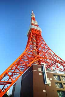 photo, la matière, libre, aménage, décrivez, photo de la réserve,Tour de Tokyo, collection tour de la vague électrique, Rouge et blanc, Une antenne, Un observatoire