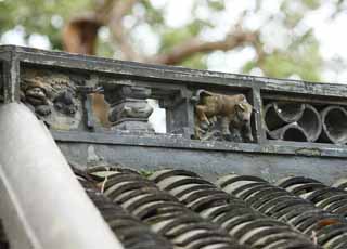 foto,tela,gratis,paisaje,fotografía,idea,Escultura de techo de jardín de Yuyuan, Jardín de casa de santuario chino, Vaca, Un animal, Edificio chino