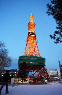 foto,tela,gratis,paisaje,fotografía,idea,Torre de la televisión de Sapporo, Una torre de ola eléctrica, Illuminations, Luz, Soy hermoso