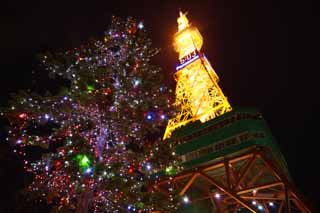 foto,tela,gratis,paisaje,fotografía,idea,Torre de la televisión de Sapporo, Una torre de ola eléctrica, Illuminations, Luz, Soy hermoso