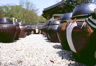 photo,material,free,landscape,picture,stock photo,Creative Commons,Meeting of pots, tradition, kimchi, , 