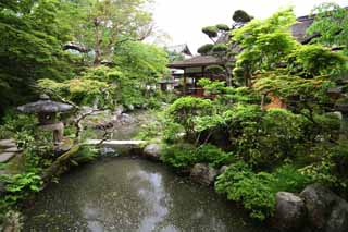 Foto, materiell, befreit, Landschaft, Bild, hat Foto auf Lager,Taima-Tempel Nakano Bo, Japanisch gärtnert, Teich, Stein, berühmter Garten