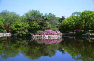 foto,tela,gratis,paisaje,fotografía,idea,Primavera en el estanque., Palacio, Laguna, Cielo azul, 