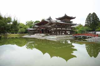 foto,tela,gratis,paisaje,fotografía,idea,Ave fénix templo de chino de Temple de Byodo-in, Herencia de mundo, Fe de Jodo, Pesimismo atribuible a la creencia en el tercero y último escenario de Buddhism, Una Amitabha inactivo imagen