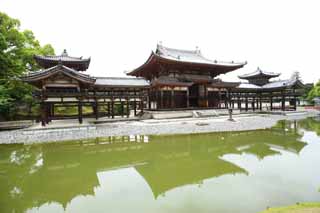 foto,tela,gratis,paisaje,fotografía,idea,Ave fénix templo de chino de Temple de Byodo-in, Herencia de mundo, Fe de Jodo, Pesimismo atribuible a la creencia en el tercero y último escenario de Buddhism, Una Amitabha inactivo imagen