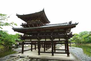 foto,tela,gratis,paisaje,fotografía,idea,Ave fénix templo de chino de Temple de Byodo-in, Herencia de mundo, Fe de Jodo, Pesimismo atribuible a la creencia en el tercero y último escenario de Buddhism, Una Amitabha inactivo imagen