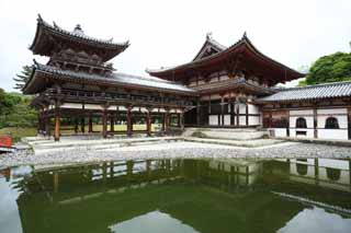 foto,tela,gratis,paisaje,fotografía,idea,Ave fénix templo de chino de Temple de Byodo-in, Herencia de mundo, Fe de Jodo, Pesimismo atribuible a la creencia en el tercero y último escenario de Buddhism, Una Amitabha inactivo imagen