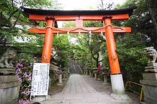 photo, la matière, libre, aménage, décrivez, photo de la réserve,Temple Uji, torii, Shintoïsme, Temple shintoïste, escalier de pierre