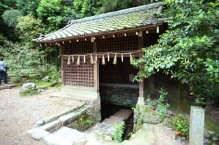 foto,tela,gratis,paisaje,fotografía,idea,Es el agua de Kirihara del santuario sintoísta en Uji, Agua clara famosa, Terreno de cajón de agua, Guirnalda de paja sintoísta, Shinto