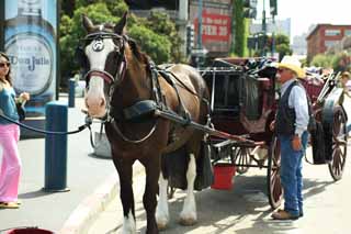 foto,tela,gratis,paisaje,fotografía,idea,Un carruaje, Caballo, Carruaje, Soy norteamericano, Turismo