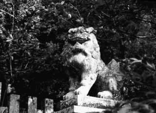 Foto, materiell, befreit, Landschaft, Bild, hat Foto auf Lager,Moosbedeckter Hüterhund, guardidog, Statue, , 