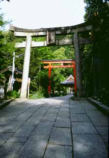 Foto, materiell, befreit, Landschaft, Bild, hat Foto auf Lager,Straße der torii-Tore, torii-Tor, Schrein, , 