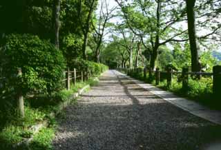 Foto, materiell, befreit, Landschaft, Bild, hat Foto auf Lager,Fußweg in zartes Grün, Pfad der Philosophie, Weg, , 