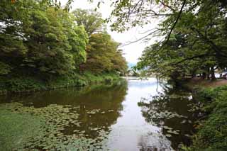 foto,tela,gratis,paisaje,fotografía,idea,Foso de Matsushiro joven, Foso, Ishigaki, Castillo de Kurokawa, Ujisato Gamo