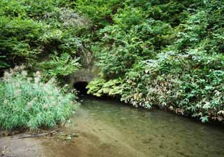 foto,tela,gratis,paisaje,fotografía,idea,Una cueva de dique de boca de puerta, Agua de irrigación, Cuerpo de tigre blancos, Aizu, Rice crecer