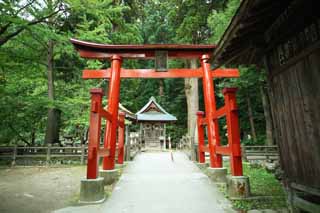 foto,tela,gratis,paisaje,fotografía,idea,Santuario de Hill Itsukushima - jinja de Iimori - yama, Mezcla de Buddhism y el Shintoismo, Excelente el Sr. caramillo, Aizu, Masakata Matsudaira