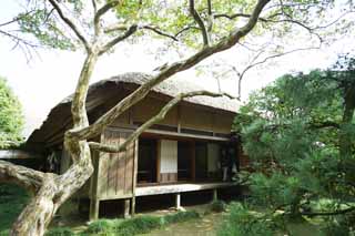 foto,tela,gratis,paisaje,fotografía,idea,Enramada de Yoshifumi de jardín de Kairaku - en, Edificio japonés, Quincha, Shoji, Buena regla de una yarda