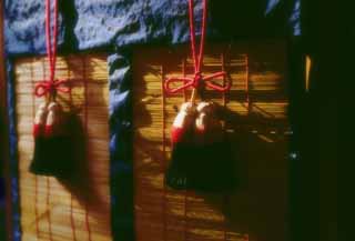 fotografia, materiale, libero il panorama, dipinga, fotografia di scorta,Nascondiglio di bambù leggendario, Fushimi-inari Taisha, nascondiglio di bambù, , 