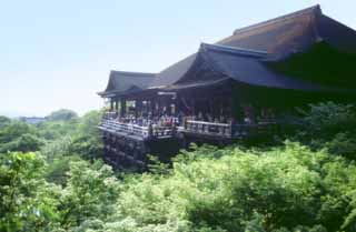 foto,tela,gratis,paisaje,fotografía,idea,Kyomizudera, Kiyomizu templo, , , 