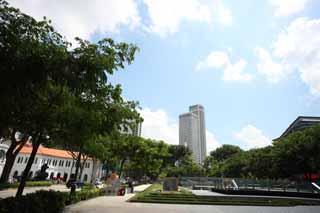 fotografia, material, livra, ajardine, imagine, proveja fotografia,Cingapura, SMU, edifício de edifício alto, árvore à margem de estrada, A zona tropical