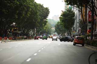 foto,tela,gratis,paisaje,fotografía,idea,De acuerdo con Singapur, Automóvil, Edificio alto, Árbol de zona lateral de camino, La zona tropical