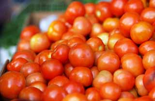 foto,tela,gratis,paisaje,fotografía,idea,Un tomate, Tienda de verdura, Tomate, Rojo, Verduras