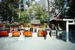 fotografia, material, livra, ajardine, imagine, proveja fotografia,Fushimi-Inari Taisha Santuário o bobo da corte profissional, Xintoísmo, Santuário de Xintoísmo, Inari, raposa