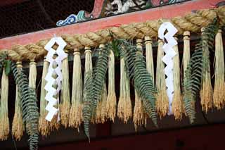 fotografia, material, livra, ajardine, imagine, proveja fotografia,Fushimi-Inari Taisha Santuário Xintoísmo palha festão, Xintoísmo palha festão, empapele apêndice, Inari, raposa