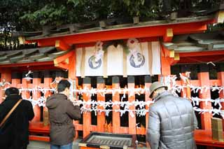 fotografia, material, livra, ajardine, imagine, proveja fotografia,Fushimi-Inari Taisha Santuário lote sagrado, Fortuna-revelador, Cresce, lote sagrado, raposa