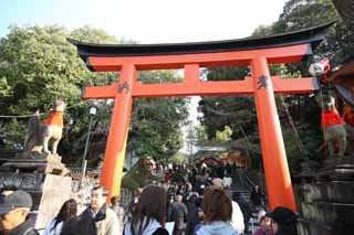 fotografia, material, livra, ajardine, imagine, proveja fotografia,Fushimi-Inari Taisha torii de Santuário, A visita de Ano novo para um santuário de Xintoísmo, torii, Inari, raposa