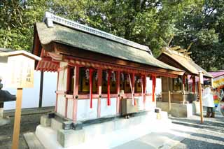 fotografia, material, livra, ajardine, imagine, proveja fotografia,Fushimi-Inari Taisha Santuário carga campo companhia, A visita de Ano novo para um santuário de Xintoísmo, Eu sou pintado em vermelho, Inari, raposa