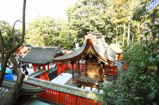 fotografia, material, livra, ajardine, imagine, proveja fotografia,Fushimiinari bobo da corte Tamayama Inari profissional companhia, A visita de Ano novo para um santuário de Xintoísmo, Eu sou pintado em vermelho, Inari, raposa