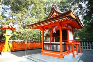 fotografia, material, livra, ajardine, imagine, proveja fotografia,Fushimiinari o bobo da corte profissional, A visita de Ano novo para um santuário de Xintoísmo, Eu sou pintado em vermelho, Inari, raposa