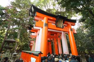 fotografia, material, livra, ajardine, imagine, proveja fotografia,1,000 Fushimi-Inari Taisha toriis de Santuário, A visita de Ano novo para um santuário de Xintoísmo, torii, Inari, raposa