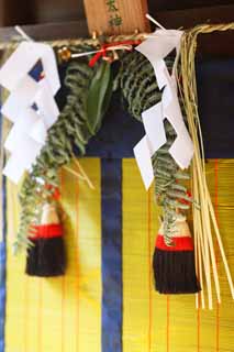 Foto, materiell, befreit, Landschaft, Bild, hat Foto auf Lager,Fushimi-Inari Taisha Shrine Bambusjalousie, Bambusjalousie, , tapezieren Sie Anhang, Fuchs