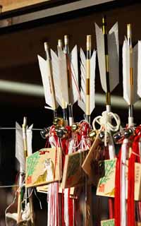 fotografia, materiale, libero il panorama, dipinga, fotografia di scorta,Hachiman-gu il Sacrario l'anno Nuovo sta esorcizzando freccia, Anno Nuovo le feste, mascotte, Buon fortuna, La freccia del talismano contro cattivo