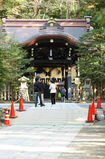 fotografia, materiale, libero il panorama, dipinga, fotografia di scorta,Hachiman-gu bandiera di Sacrario di resa sacrario scintoista, Il completamento di studi, Yoritomo Minamoto pubblico, Sanetomo Minamotono, È nero