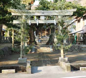 fotografia, materiale, libero il panorama, dipinga, fotografia di scorta,Kamakura Yasaka Oga il torii, Sacrario scintoista, Scintoismo, Festone di paglia scintoista, Il pino di anno Nuovo e decorazioni di bambù