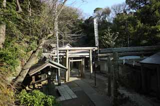 fotografia, materiale, libero il panorama, dipinga, fotografia di scorta,Torii di Sacrario di Zeniarai-benten, torii, Adorazione, Moglie di zen-prete principale, Lucrativo