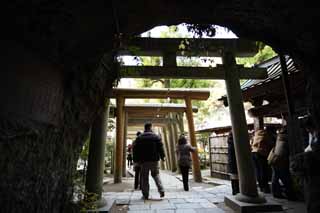 fotografia, materiale, libero il panorama, dipinga, fotografia di scorta,Tunnel di Sacrario di Zeniarai-benten, torii, tunnel, Moglie di zen-prete principale, Lucrativo