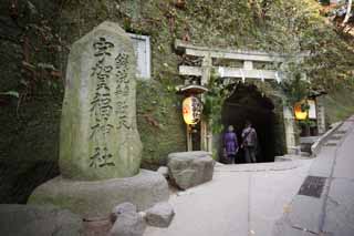 fotografia, materiale, libero il panorama, dipinga, fotografia di scorta,Torii di Sacrario di Zeniarai-benten, torii, tunnel, Moglie di zen-prete principale, Lucrativo