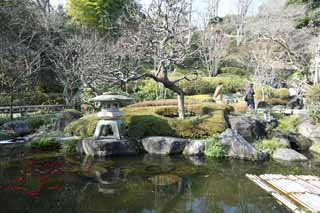 fotografia, materiale, libero il panorama, dipinga, fotografia di scorta,Giardino di Tempio di Hase-dera, prenda a sassate lanterna, ciprino dorato, Buddismo, Chaitya