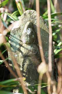 fotografia, materiale, libero il panorama, dipinga, fotografia di scorta,Tempio di Hase-dera Ishibotoke, prenda a sassate statua, Grass, Buddismo, Chaitya