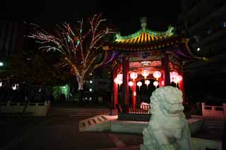 photo, la matière, libre, aménage, décrivez, photo de la réserve,Yokohama Chinatown, vue de la nuit, chef, Un arbre, Illuminations