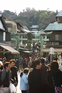 photo, la matière, libre, aménage, décrivez, photo de la réserve,Un torii du bronze Enoshima, torii, Nouvelle année décor des vacances, Une approche à un temple, La visite de nouvelle année à un temple shintoïste