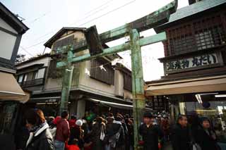 fotografia, materiale, libero il panorama, dipinga, fotografia di scorta,Un torii del bronzo di Enoshima, torii, L'anno Nuovo villeggia decorazione, Un approccio ad un sacrario, La visita di anno Nuovo ad un sacrario scintoista